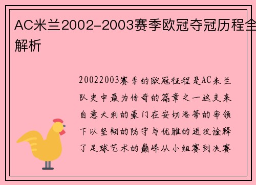 AC米兰2002-2003赛季欧冠夺冠历程全解析